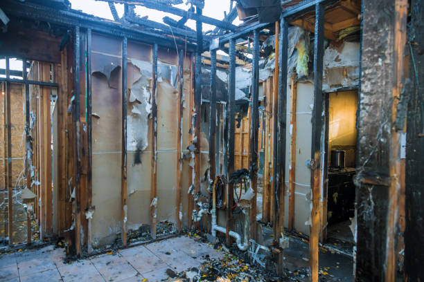 Professional Emergency Fire Damage Restoration technician working in Annandale, MN